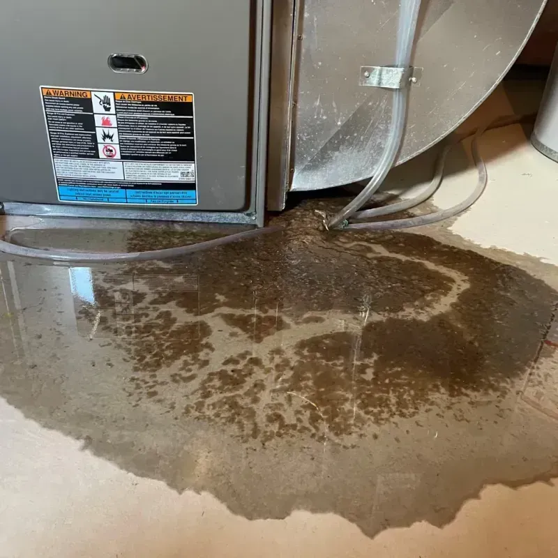 Appliance Leak Cleanup in Henrico County, VA